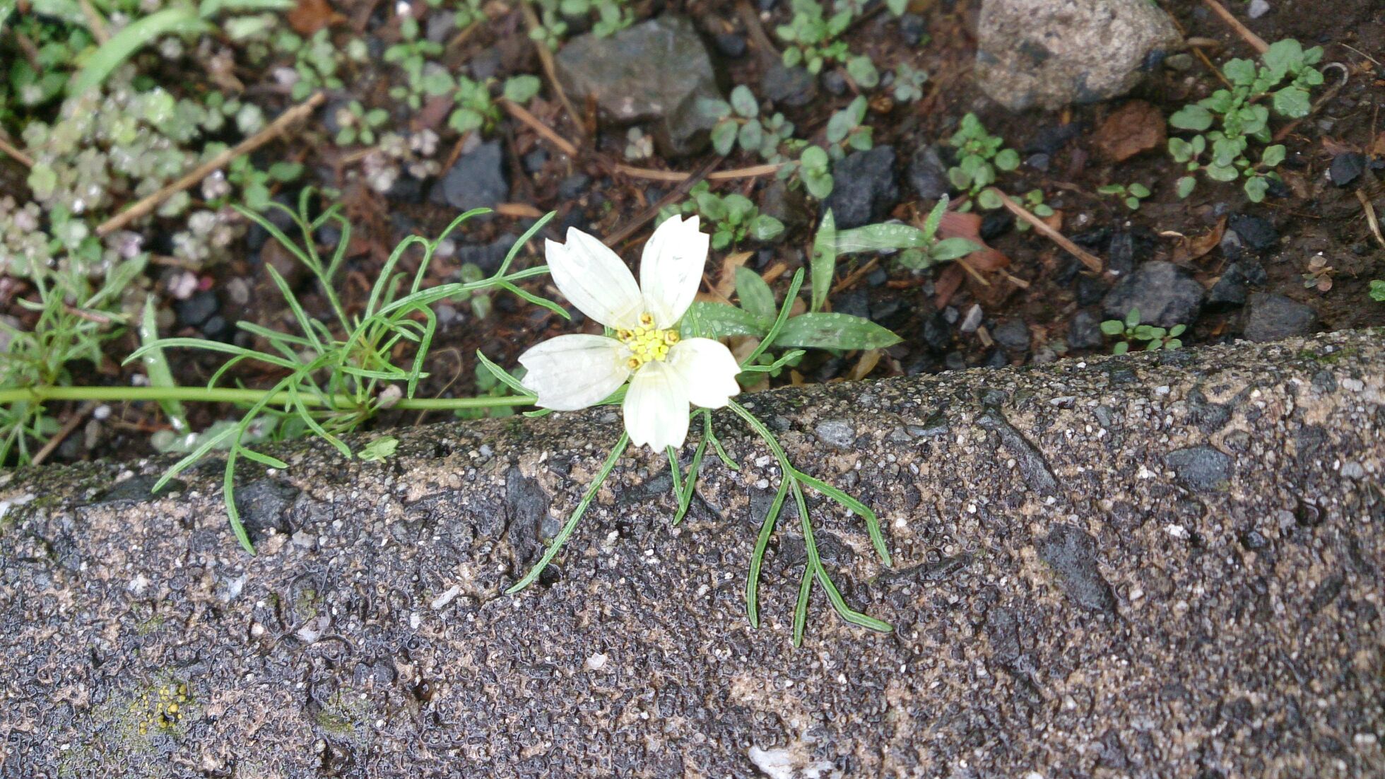 下半期突入！！