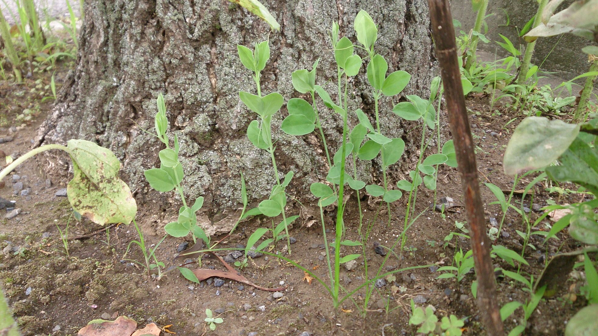 下半期突入！！