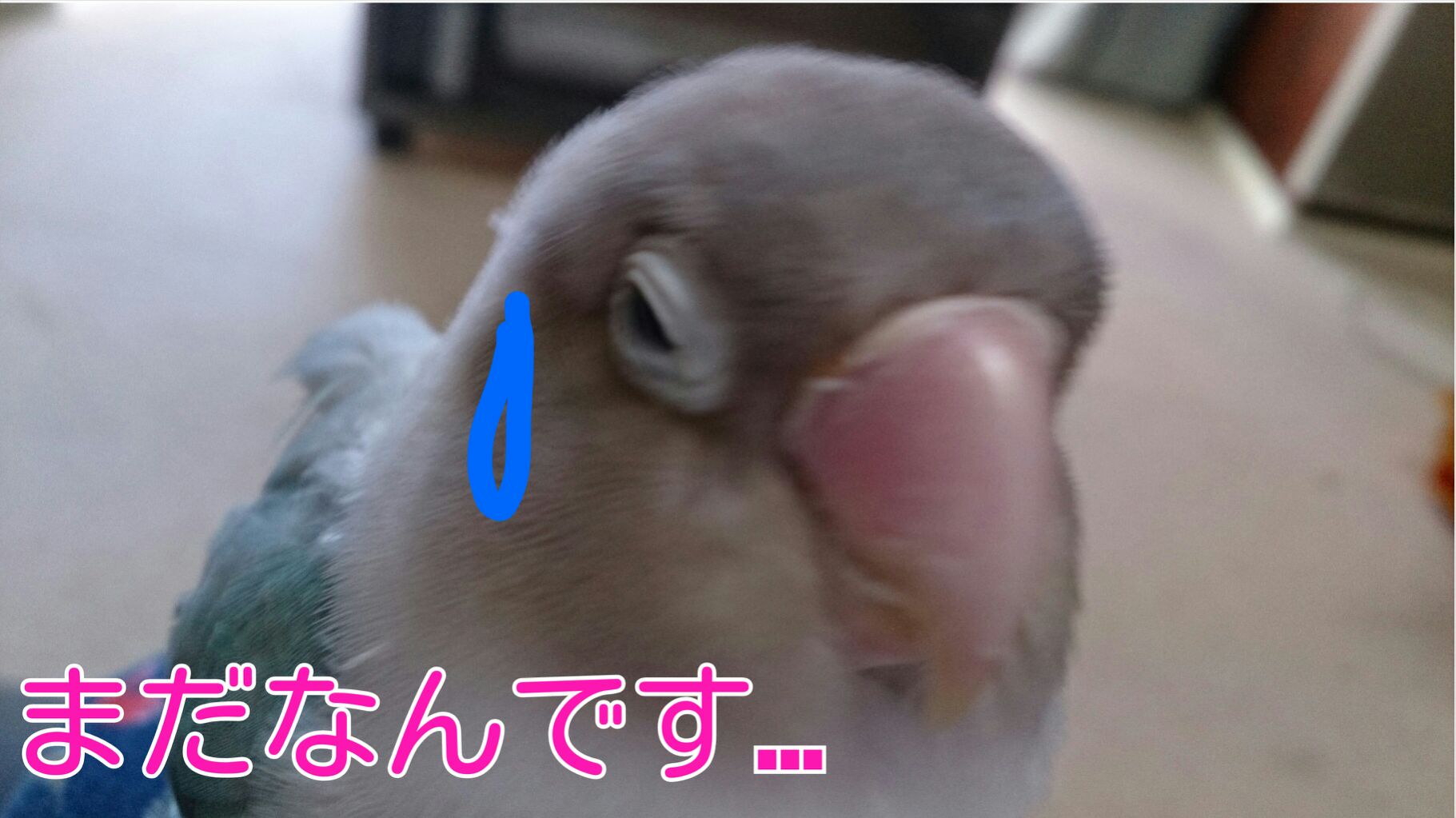 今日は何の日？ふっふ～