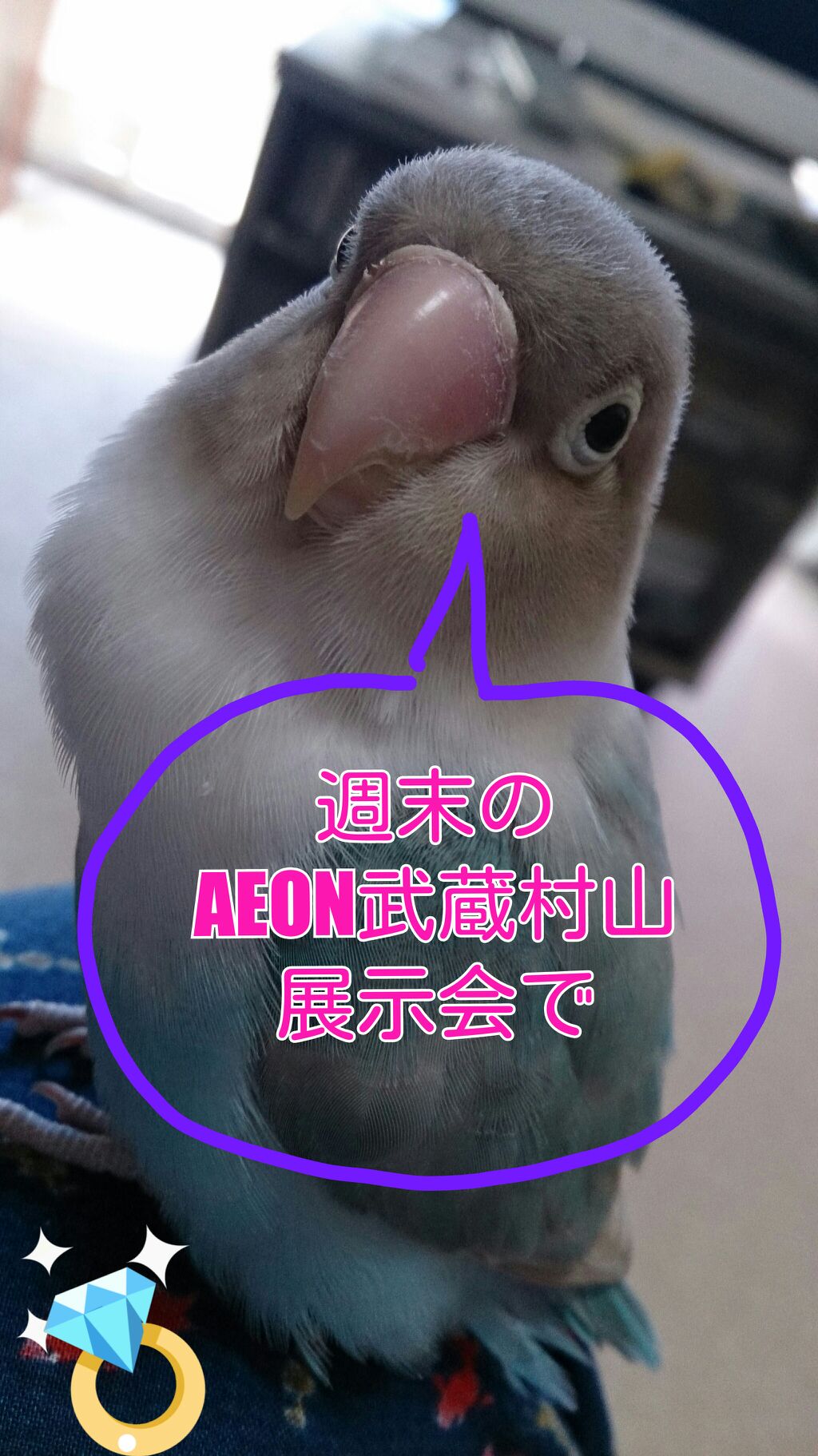今日は何の日？ふっふ～
