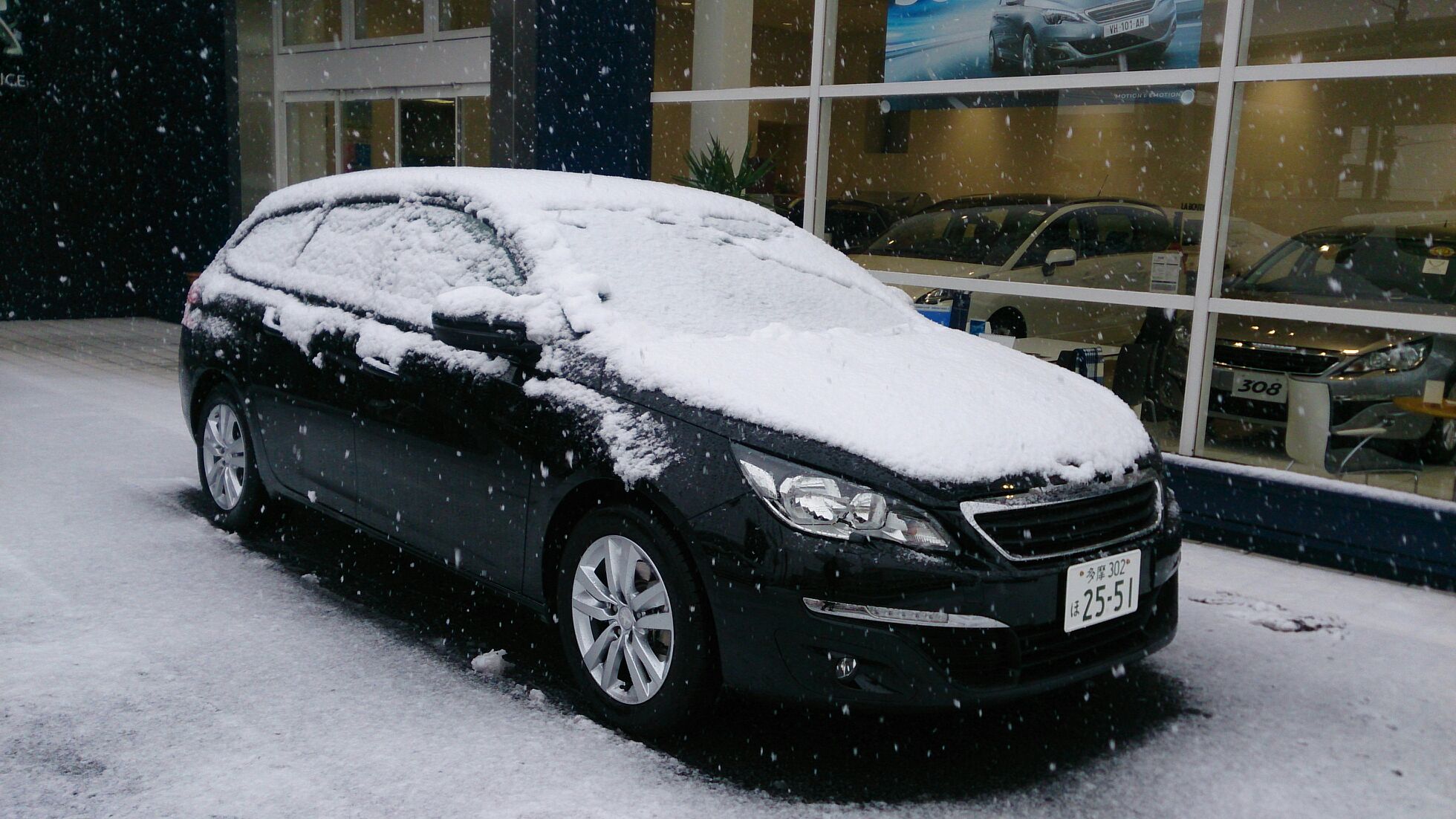 再び雪、舞う！