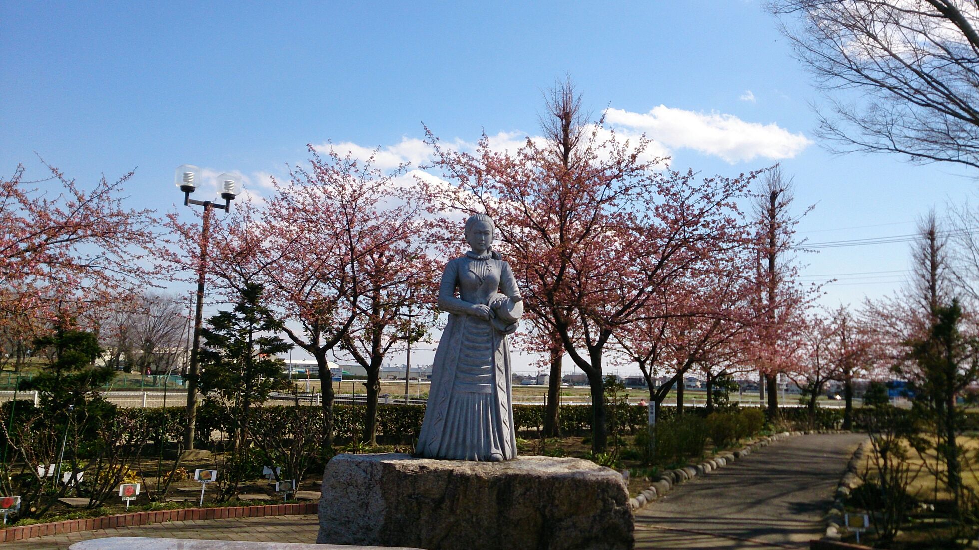 園芸部だより