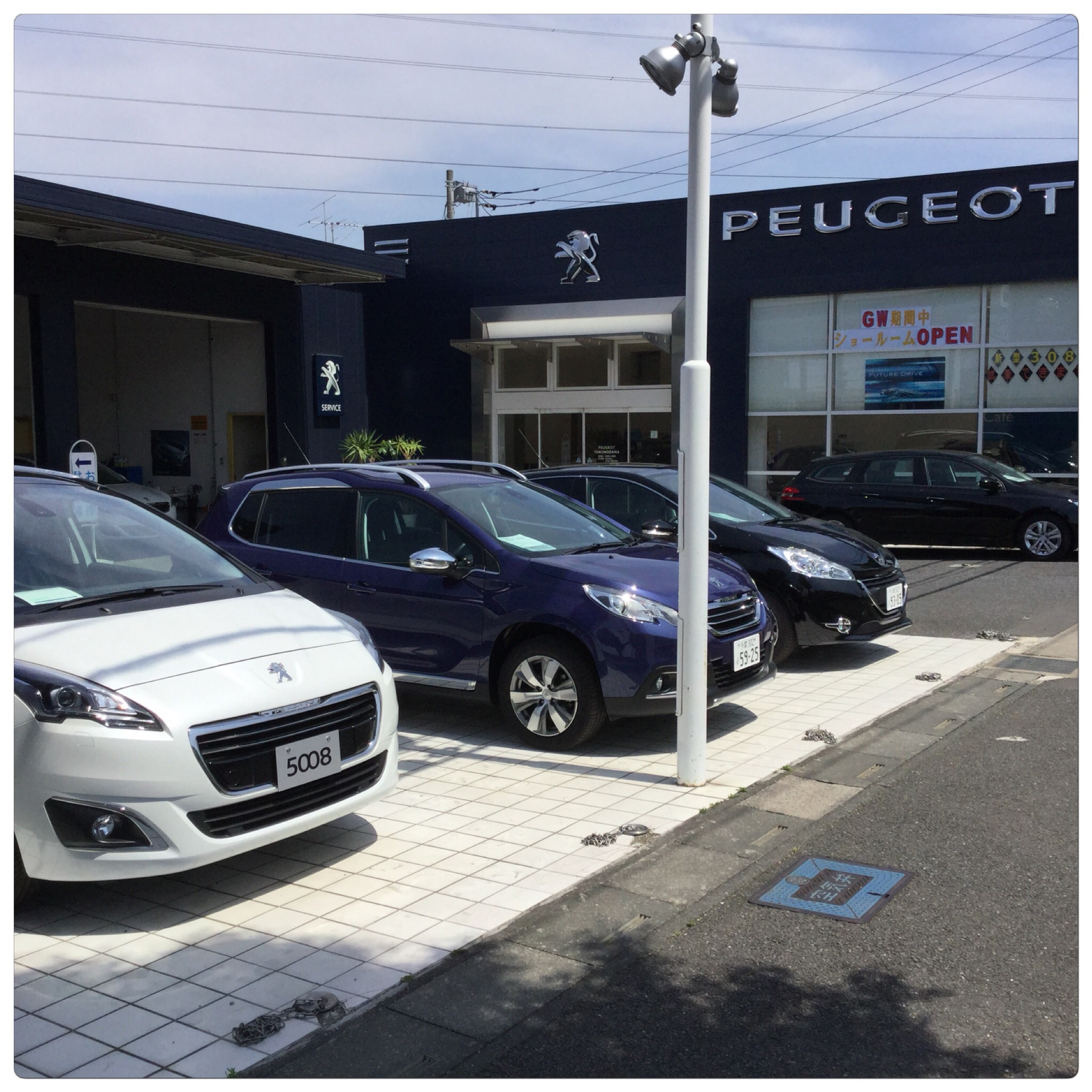 明日もショールームのみ営業
