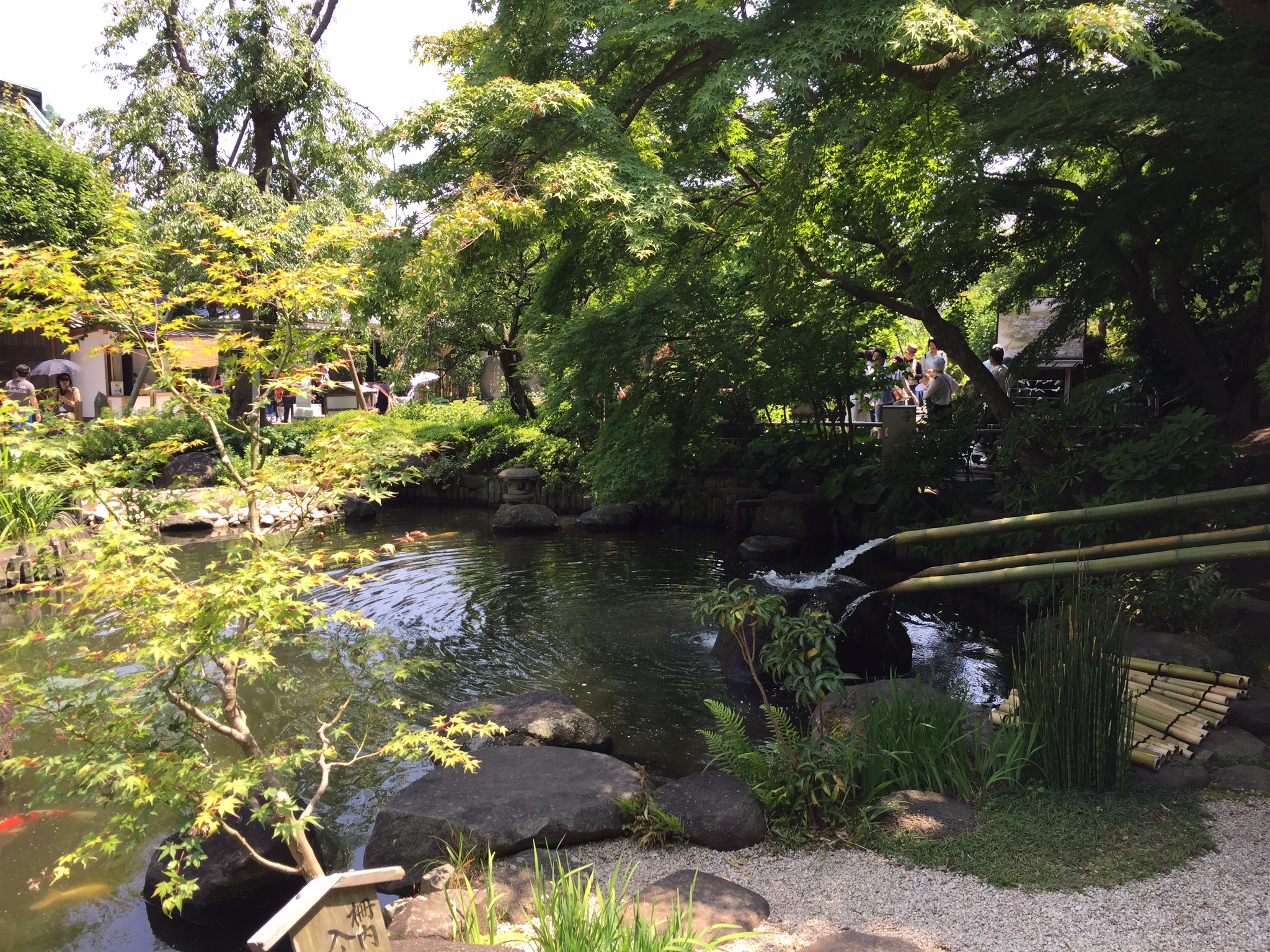 日帰り旅