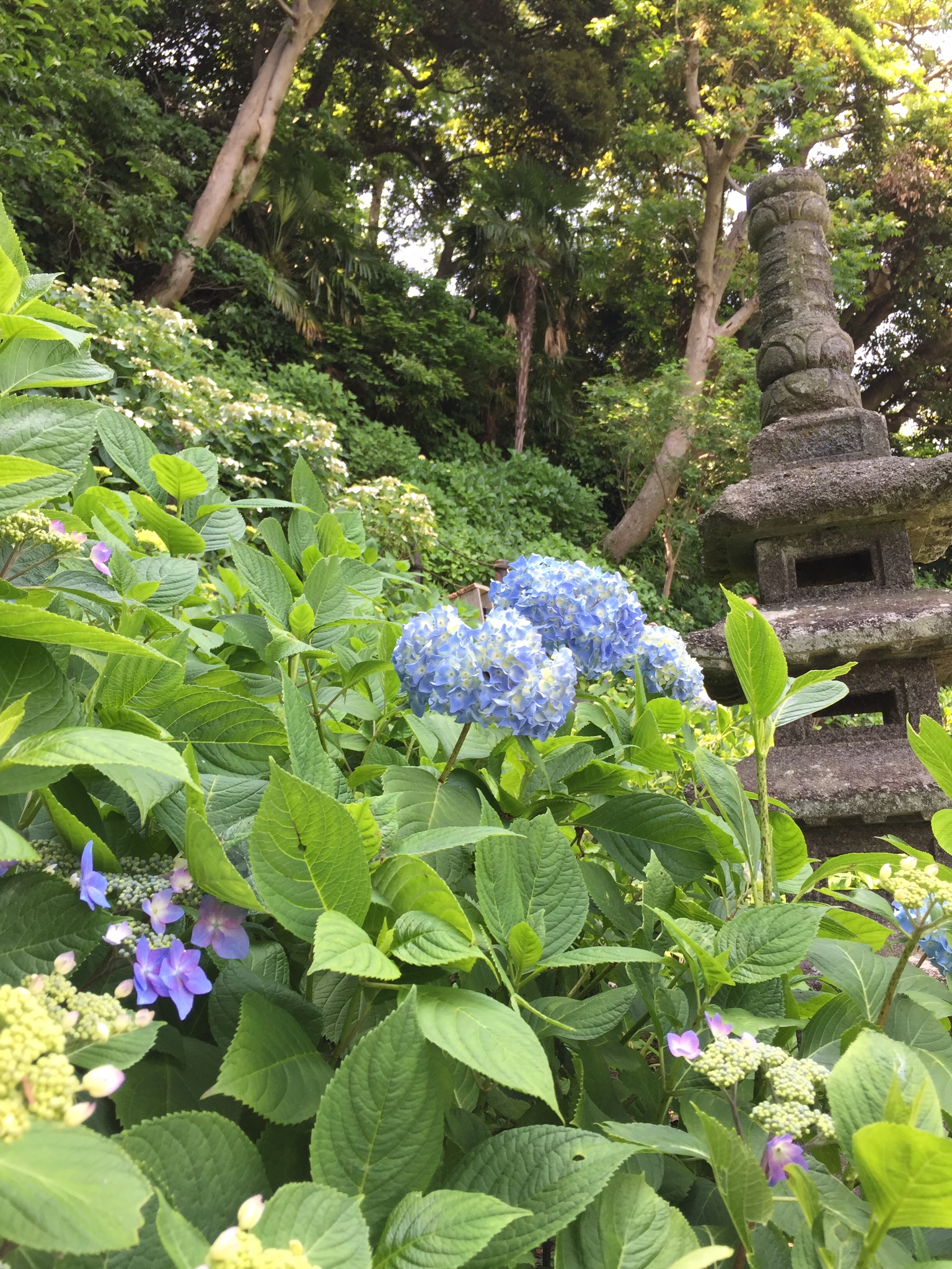 日帰り旅