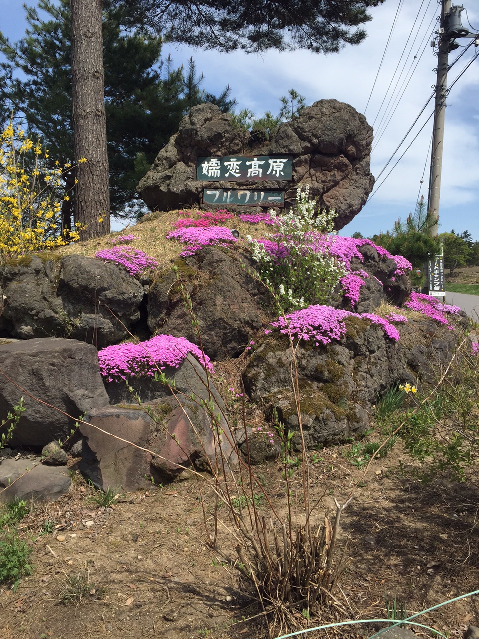 プジョーで行くぶらりGW観光　嬬恋村編