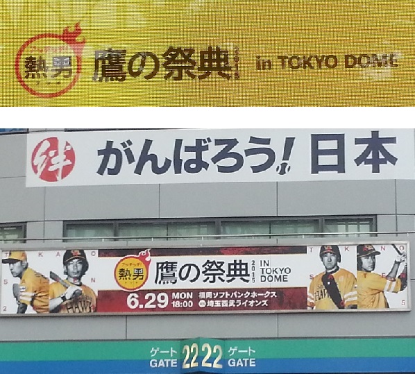 野球観戦