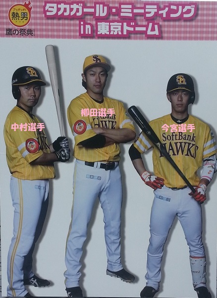 野球観戦