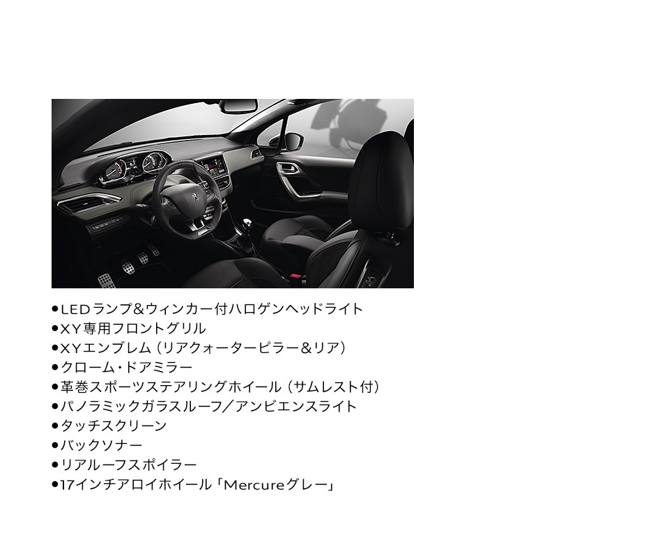 日本ラスト1台【208XY】1.6Lターボ 6速MT×ガラスルーフ