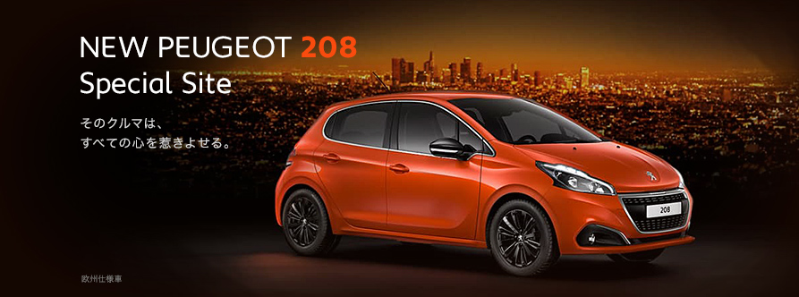 NEW 208 情報