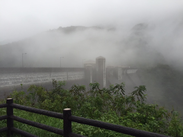 プジョー所沢ダム倶楽部　活動報告