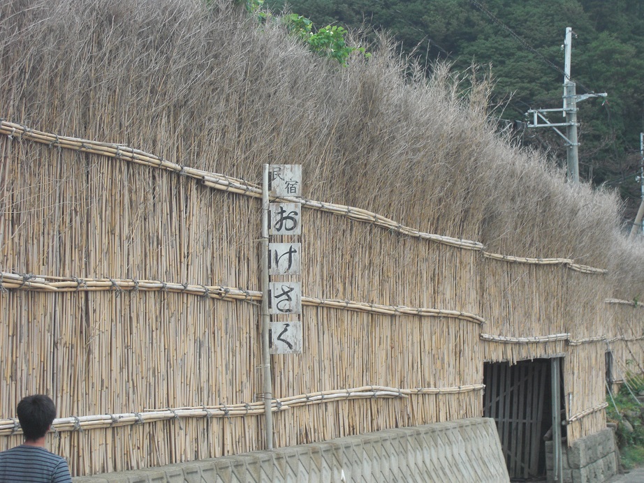 ご老体に鞭打って　其の弐