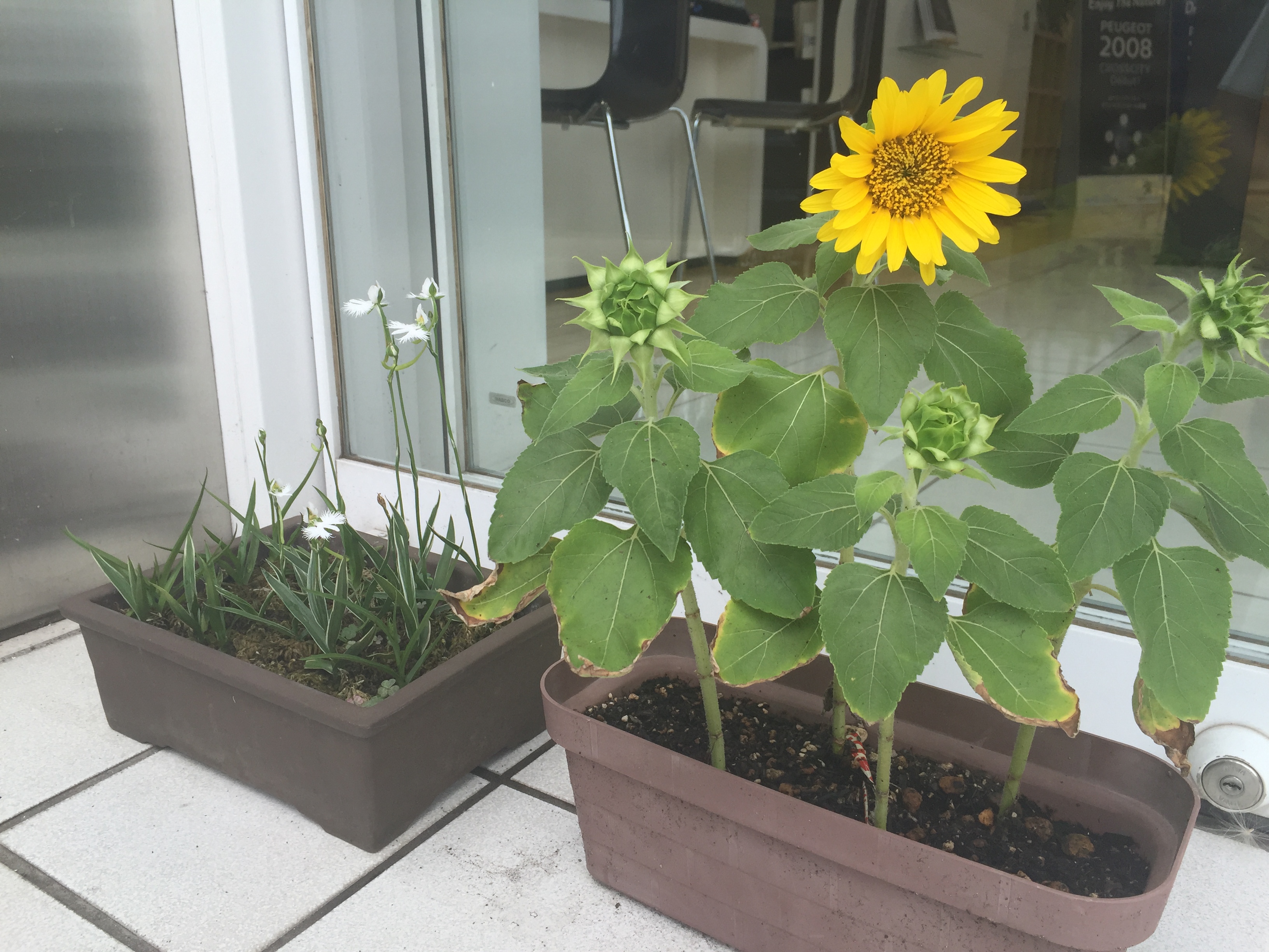 22日（月）　営業時間のご案内