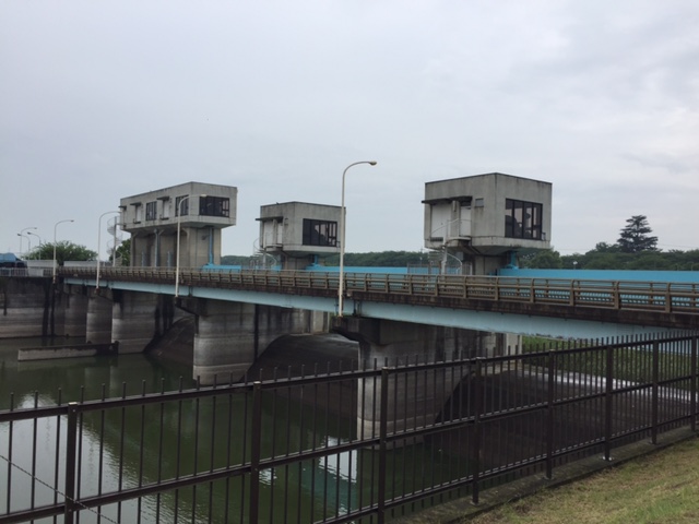  プジョー所沢ダム倶楽部　活動報告7
