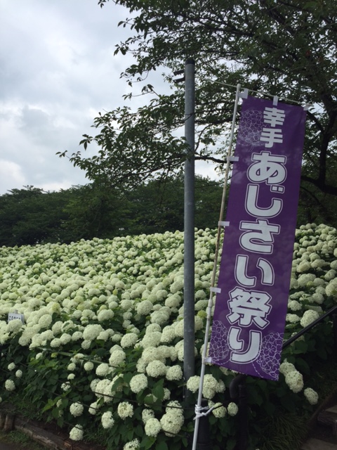  プジョー所沢ダム倶楽部　活動報告7