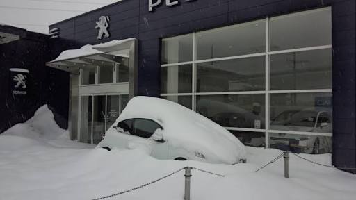 プジョー所沢 雪の日は ワイパーを上げておく