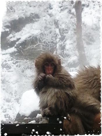 雪降る中