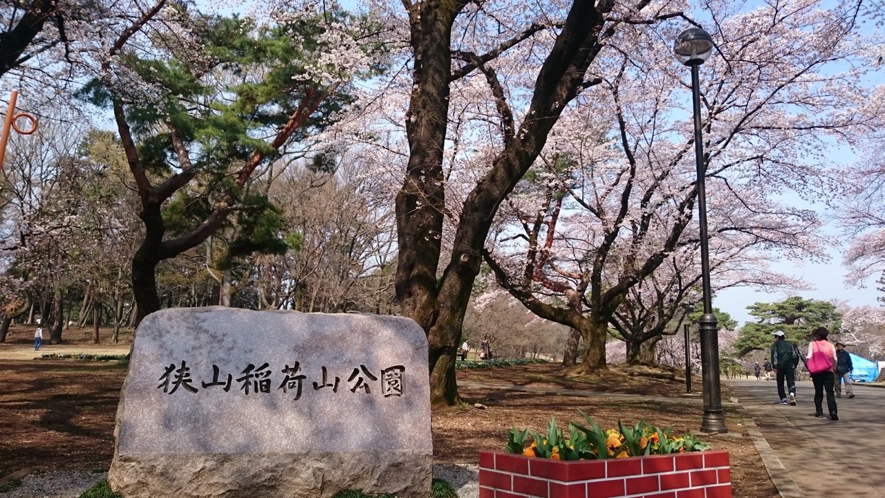 スプリングキャンペーン実施中！