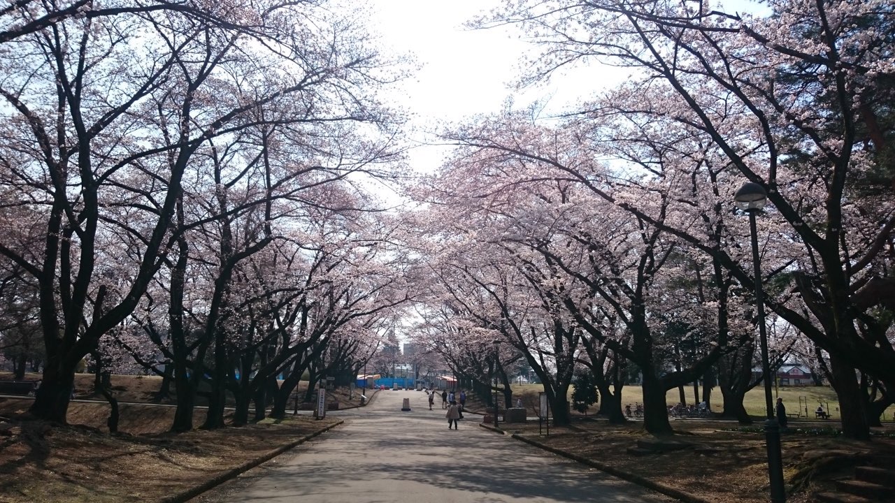 スプリングキャンペーン実施中！