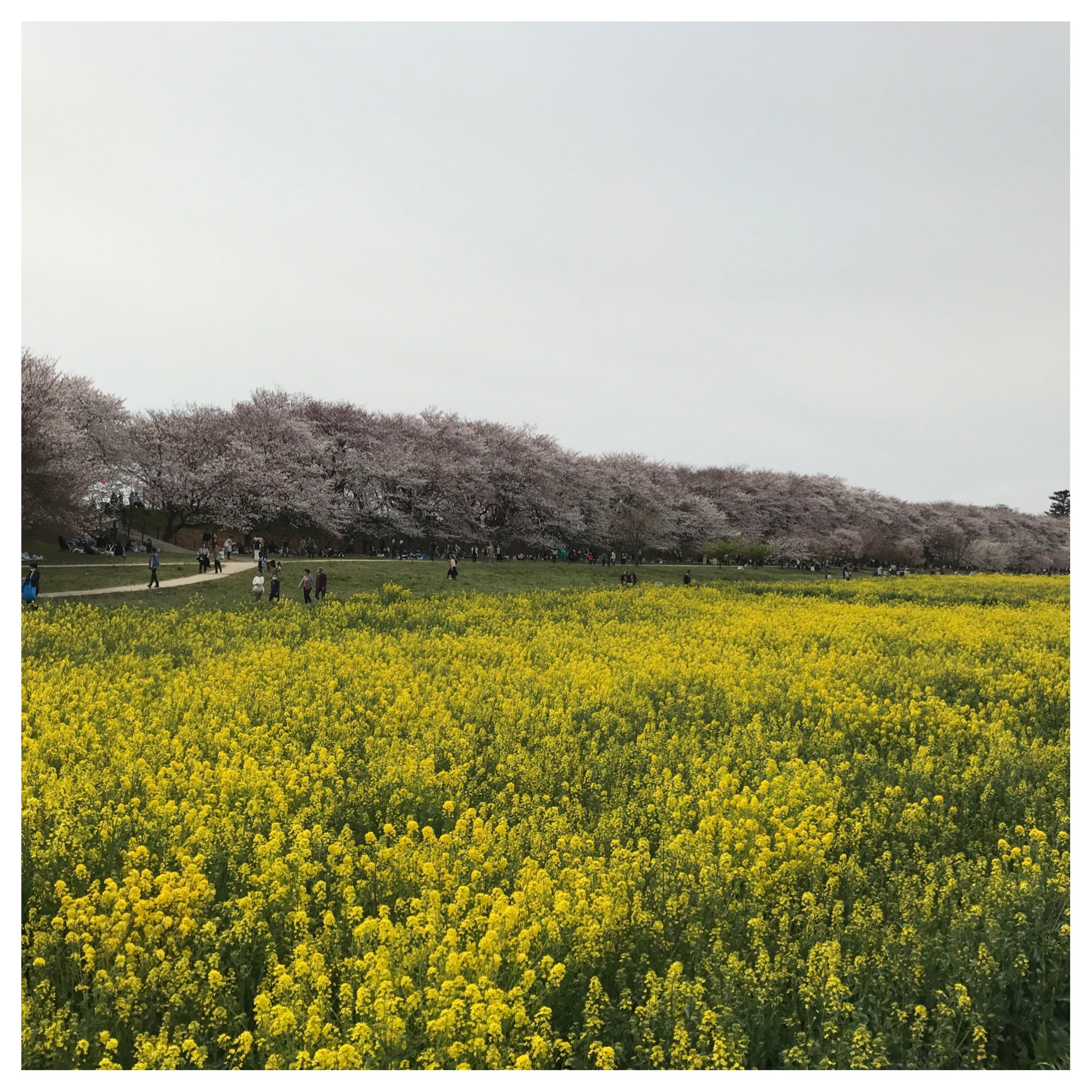 臨時休業のご案内