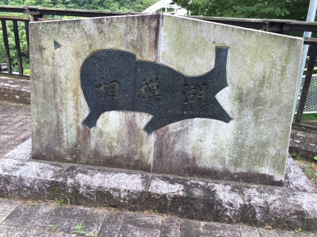 プジョー所沢ダム倶楽部　活動報告10