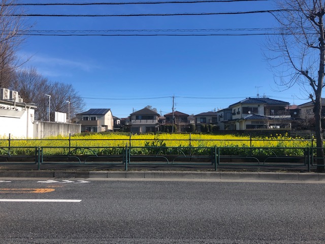 いよいよ新年度スタートしましたね　　　　　　　　　　　　　　　　　　　　　　　　　　　●今週末は3008HYBRID4DEBUT！！＆イオンモール北戸田出張展示会開催！！●