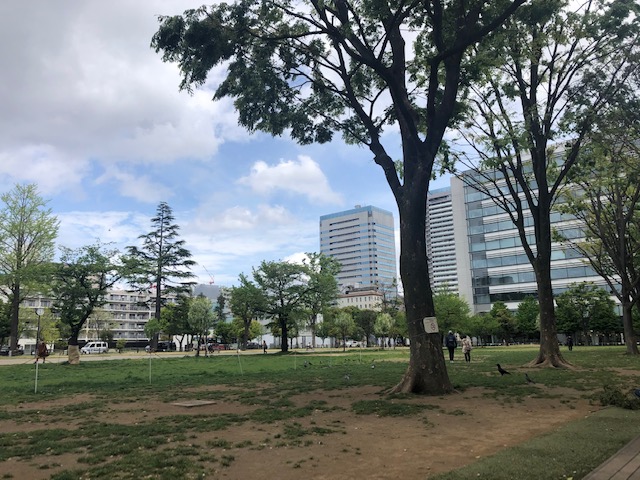近所の公園で半日