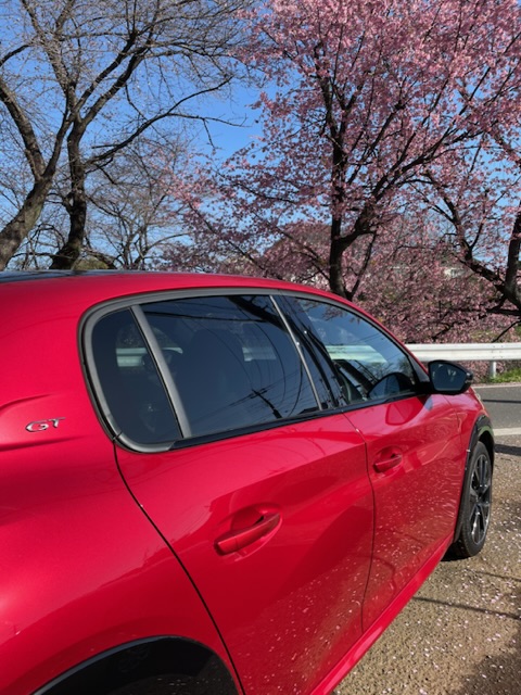 明日21日（火）は営業、22日（水）は振替定休日です