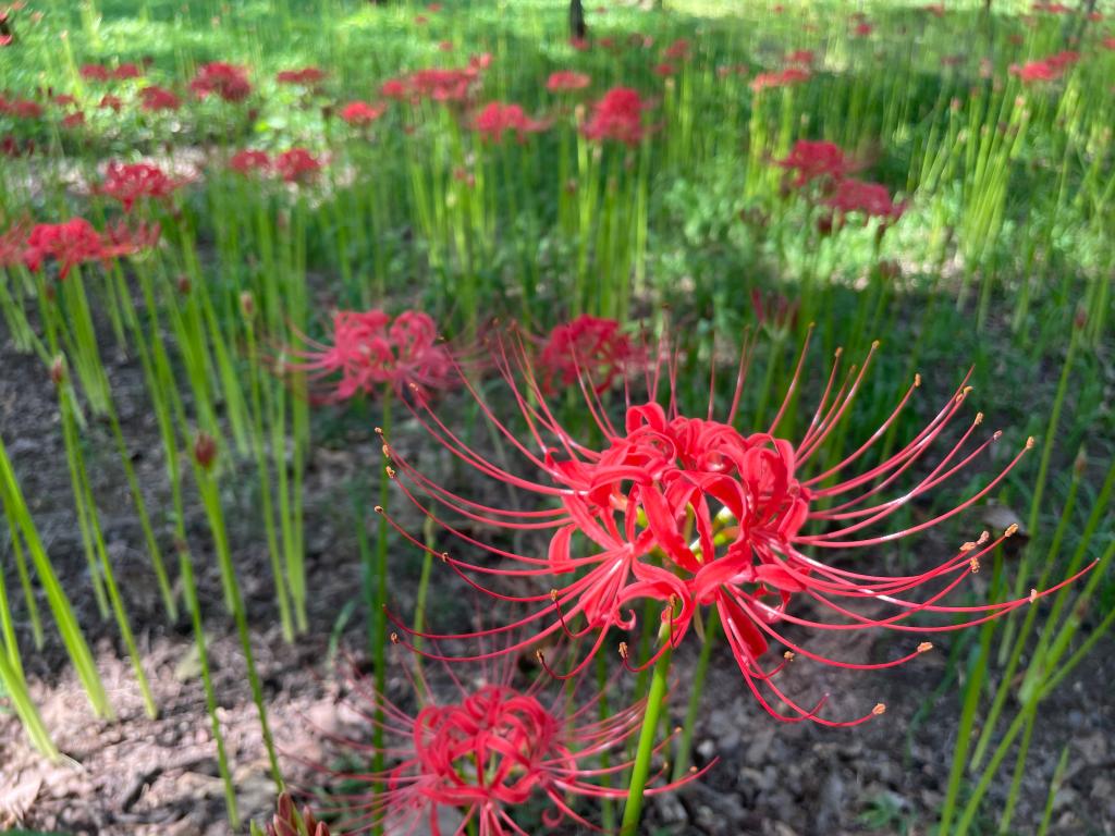 10月4日（水）の営業について