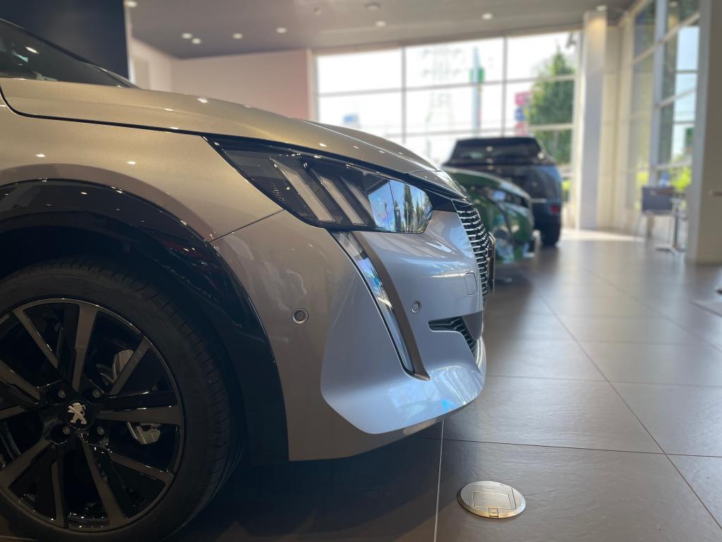 LITTLE LION フェアは9日（月･祝）迄です！