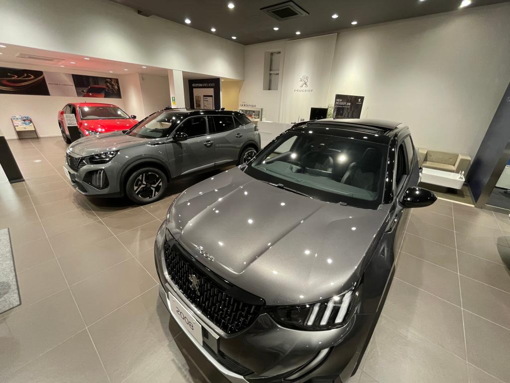 NEW2008 デビューフェア　11月3日（金･祝）～5日（日）開催！