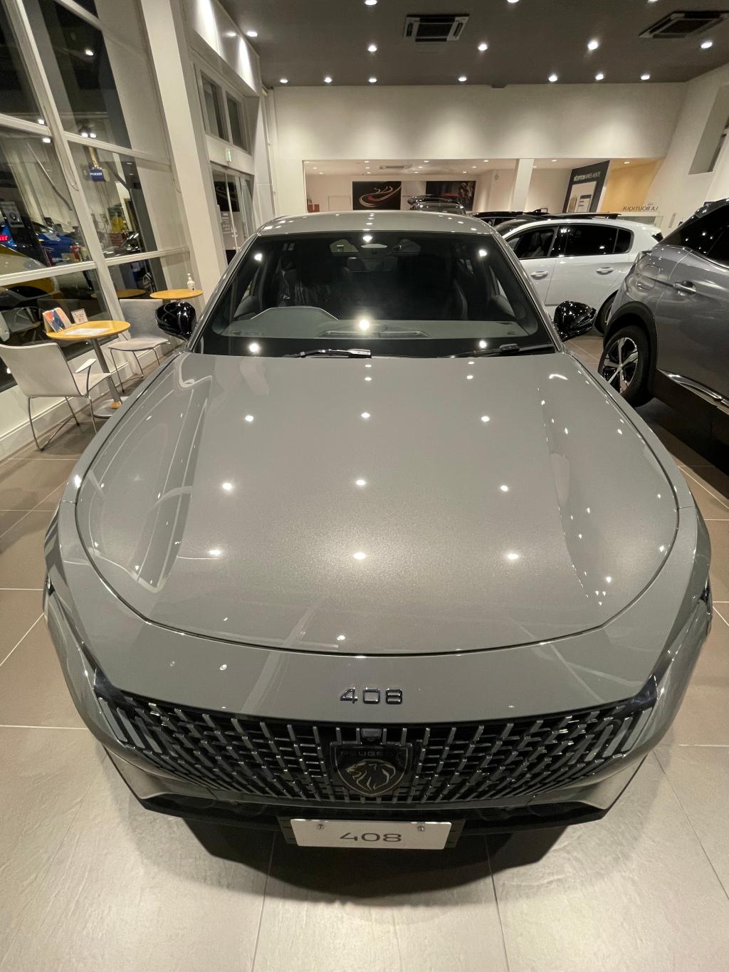 新種にNEWカラーの限定車登場！