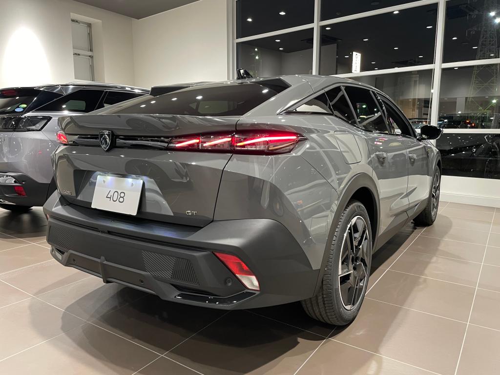 新種にNEWカラーの限定車登場！