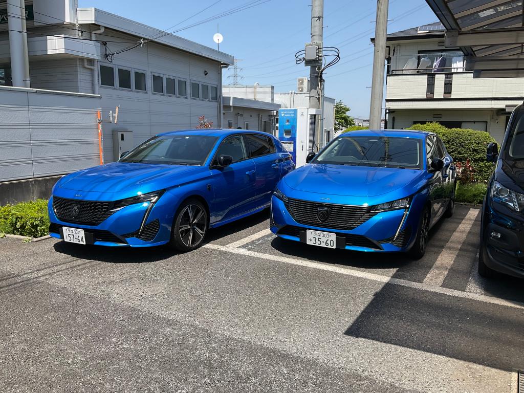 走るライオン🦁