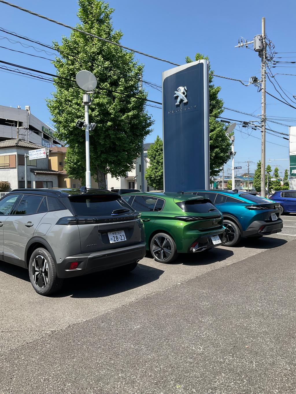 走るライオン🦁