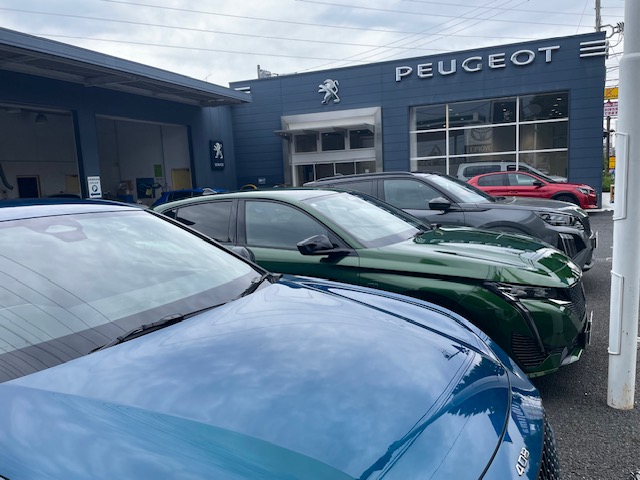 本日もショールームは営業しております！