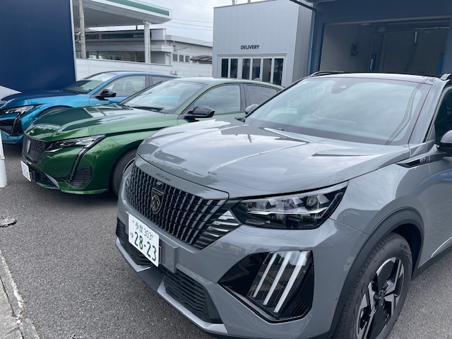 本日もショールームは営業しております！