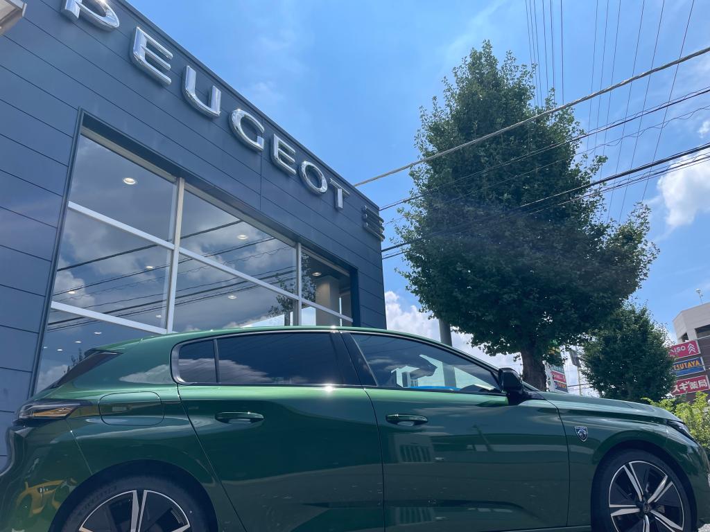 本日もショールームのみ営業中