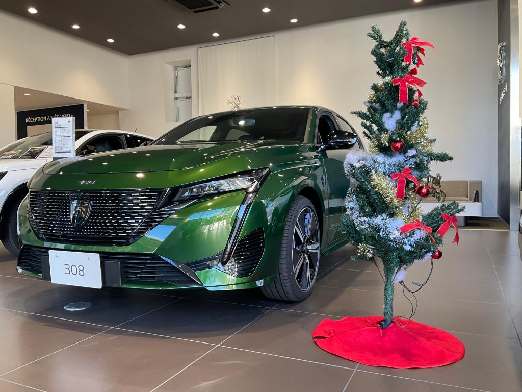 PEUGEOT WINTER PLEASURE⛄️