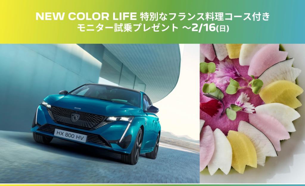 New COROL LIFEキャンペーン締切間近🦁