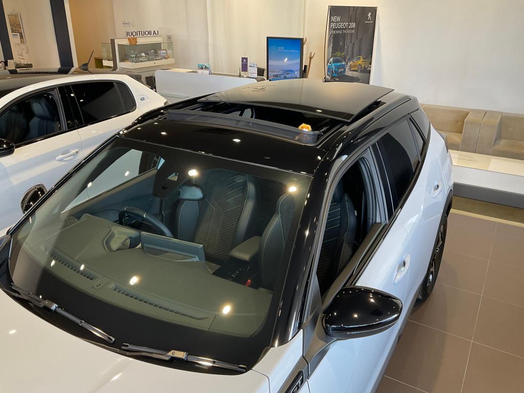 2008 CIELO❗️ショールームにて展示しております🦁