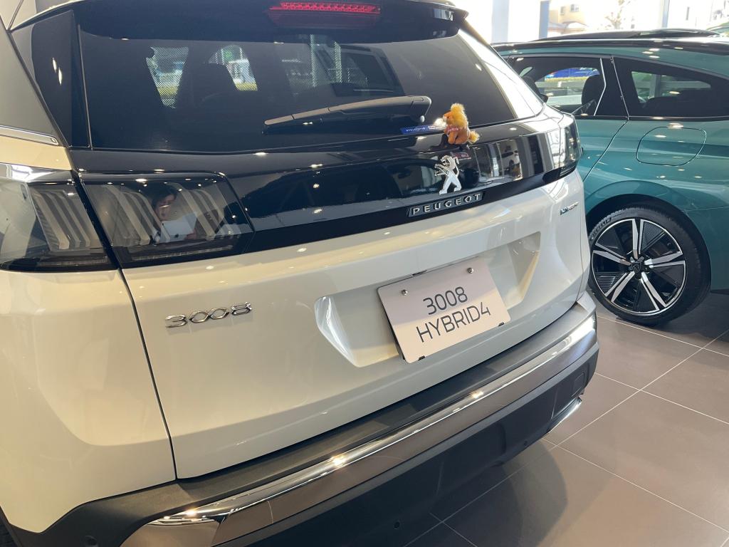 Special support💵3008 HYBRID4🦁