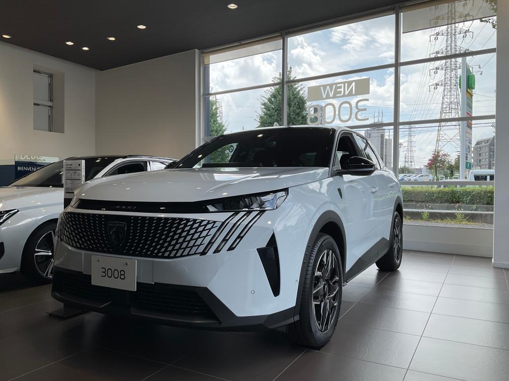 New 3008HYBRID カーブドディスプレイモニター🦁