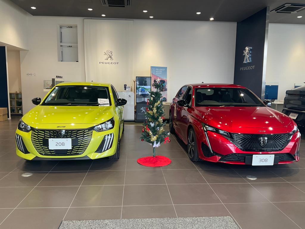 🦌クリスマスはいかがお過ごしですか🎄