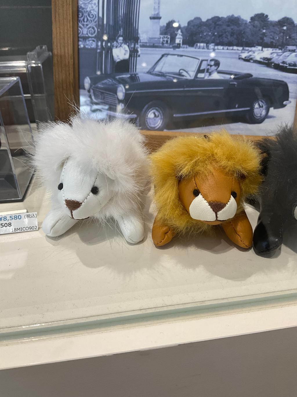 乗らないより乗るべし！！