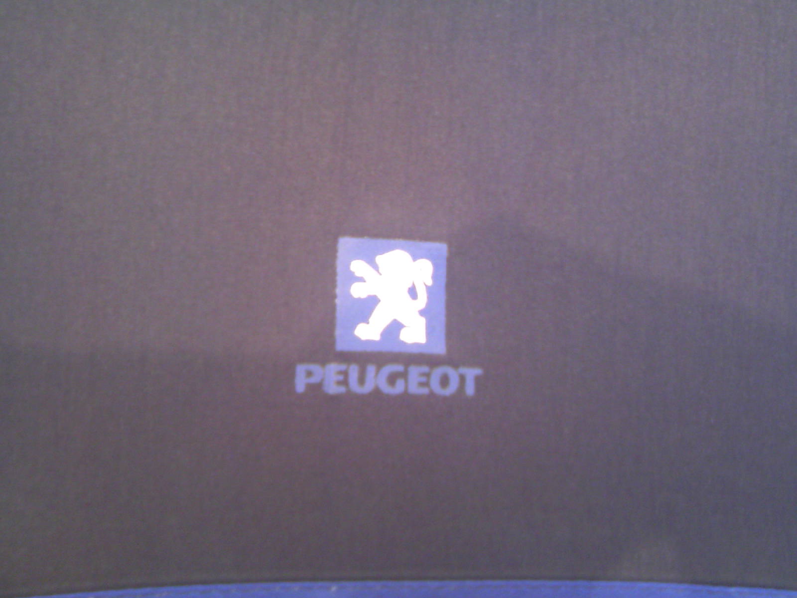 プジョーグッズだよ！全員集合　～vol.２～　