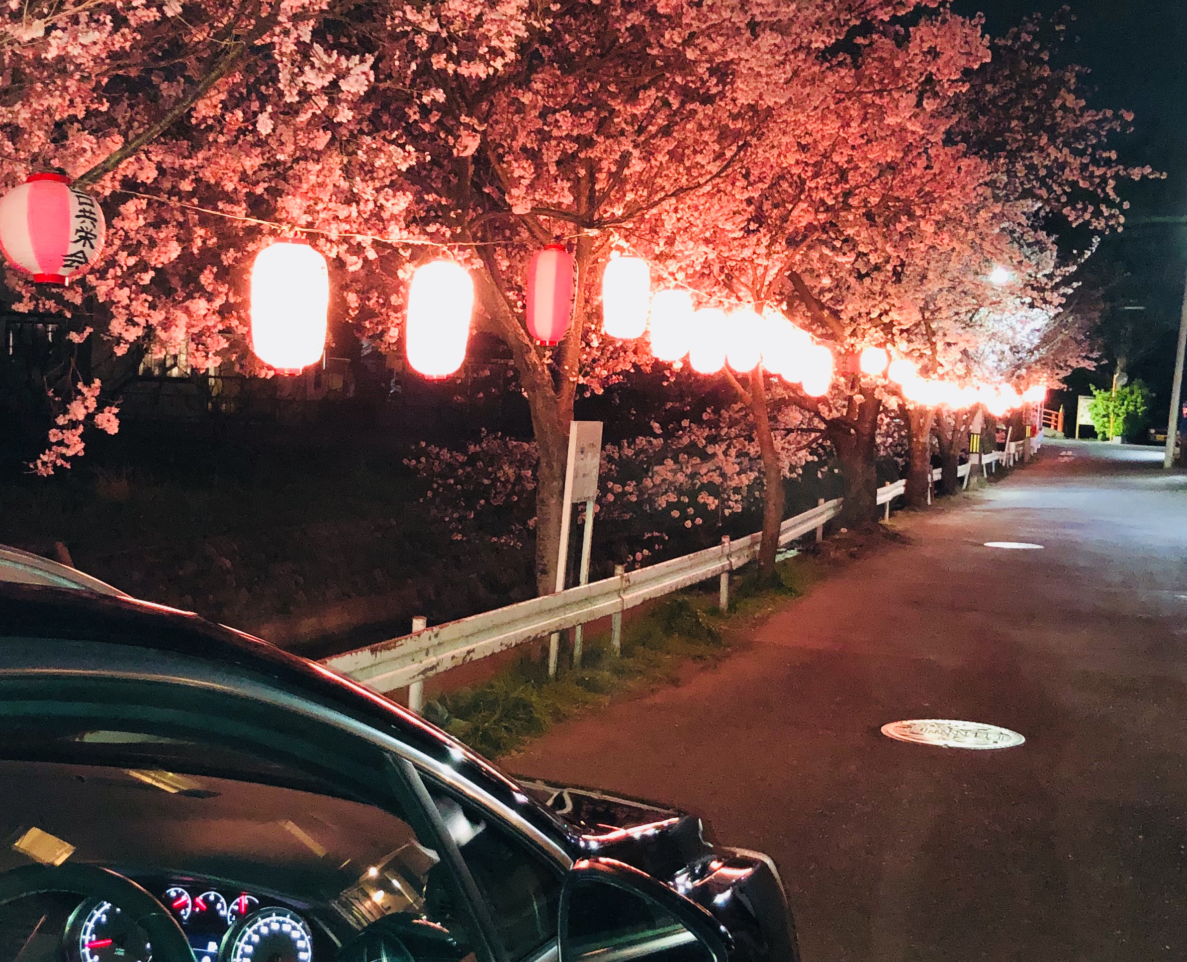 桜咲いてきました！！