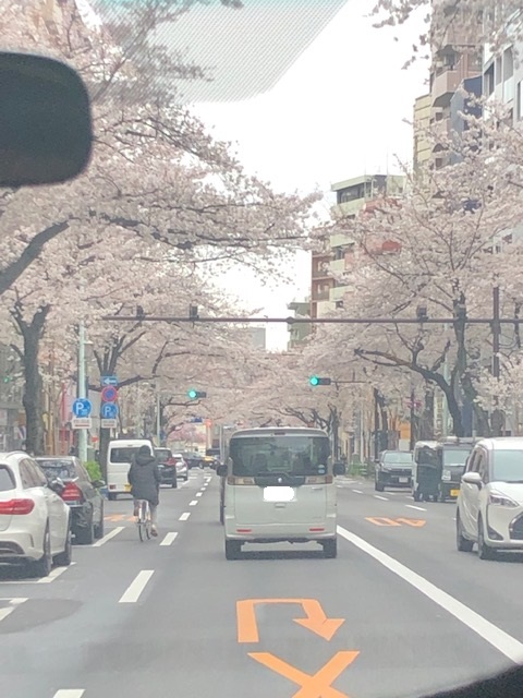 600度の法則　　　【SMILE SPRING FAIR】　～27日まで