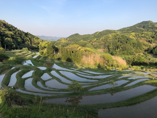 人が作り出した美しい風景　棚田編　　　　　　　　　　　　　　　　　　　　　　　　　　　　　　　7DAYS FAIR　～25日(水)まで　まもなく終了です。