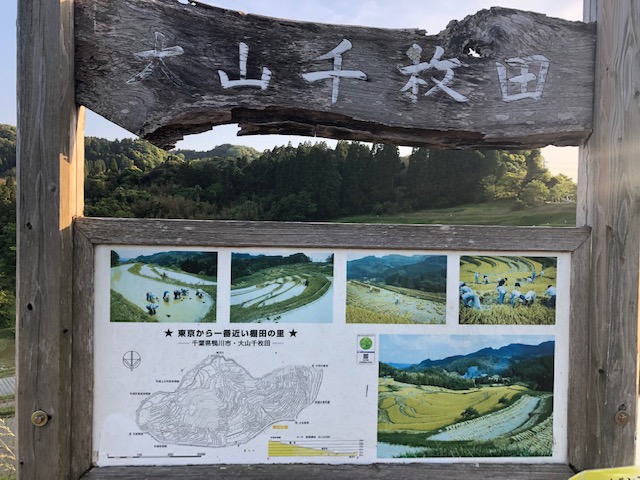 人が作り出した美しい風景　棚田編　　　　　　　　　　　　　　　　　　　　　　　　　　　　　　　7DAYS FAIR　～25日(水)まで　まもなく終了です。
